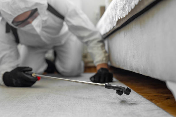 Professional Bed Bug Control technician working in Campbellsport, WI