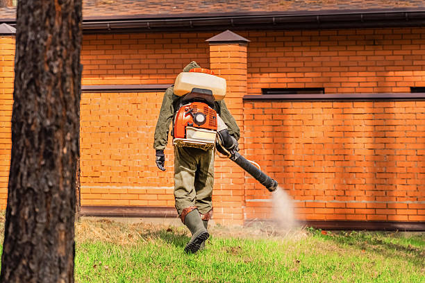 Trusted Bed Bug Control service in Campbellsport, WI - Nex Pest Control